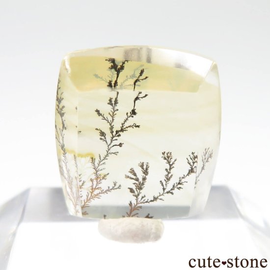 ֥饸 ߥʥ饤 ǥɥƥåĤΥ롼 No.39μ̿1 cute stone