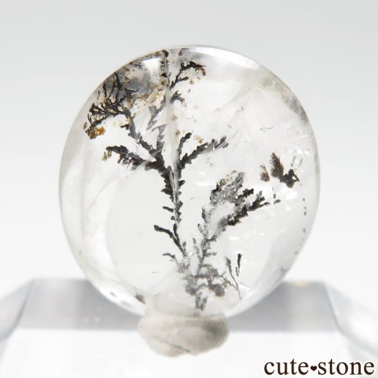 ֥饸 ߥʥ饤 ǥɥƥåĤΥ롼 No.40μ̿1 cute stone