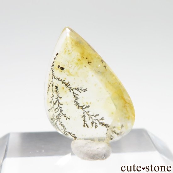 ֥饸 ߥʥ饤 ǥɥƥåĤΥ롼 No.41μ̿1 cute stone