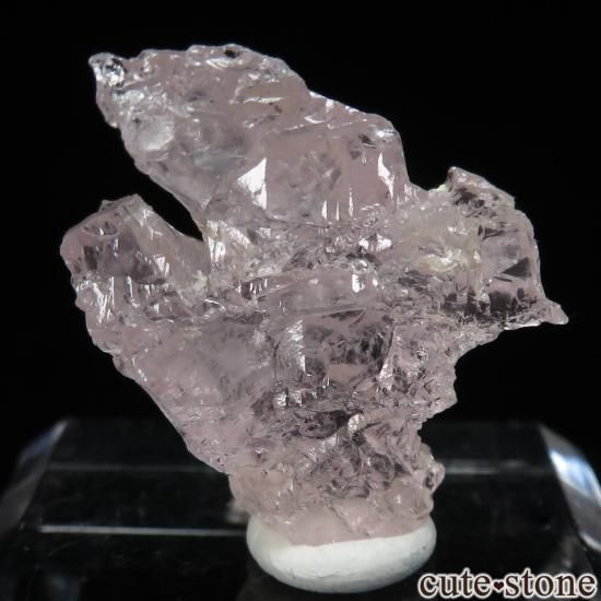 ֥饸 Ribeirao da Folha å󥰥륬ʥȤθ No.1μ̿1 cute stone