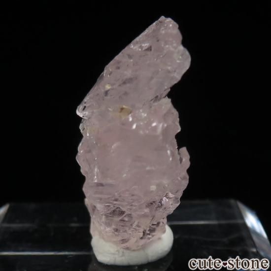 ֥饸 Ribeirao da Folha å󥰥륬ʥȤθ No.1μ̿2 cute stone