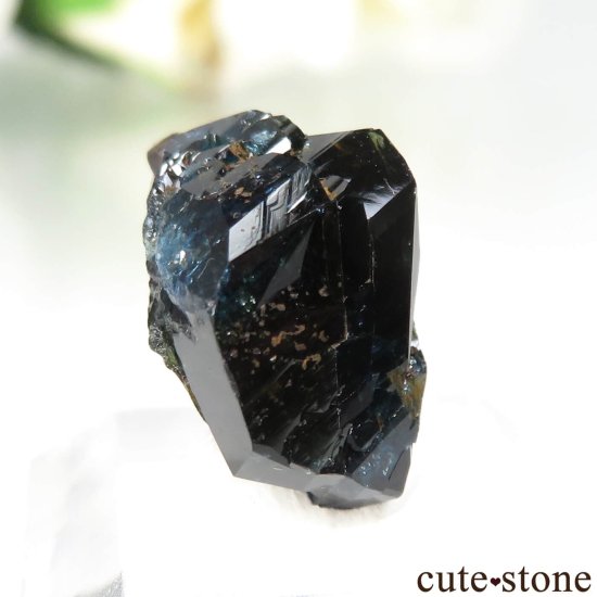 ʥ 桼 ԥåɥ꡼ 饺饤(ŷ)ǥ饤ȡĤθ No.43μ̿0 cute stone