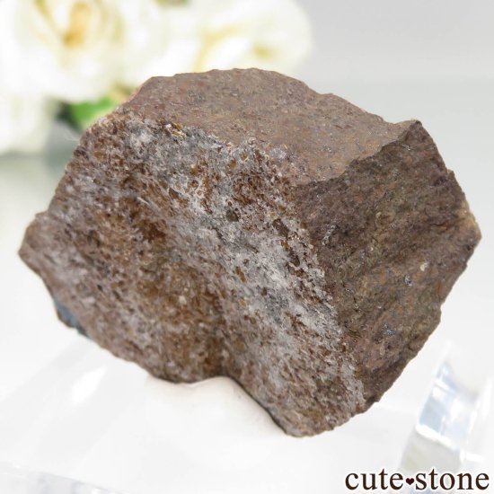 ʥ 桼 ԥåɥ꡼ 饺饤(ŷ)ǥ饤Ȥθ No.44μ̿0 cute stone