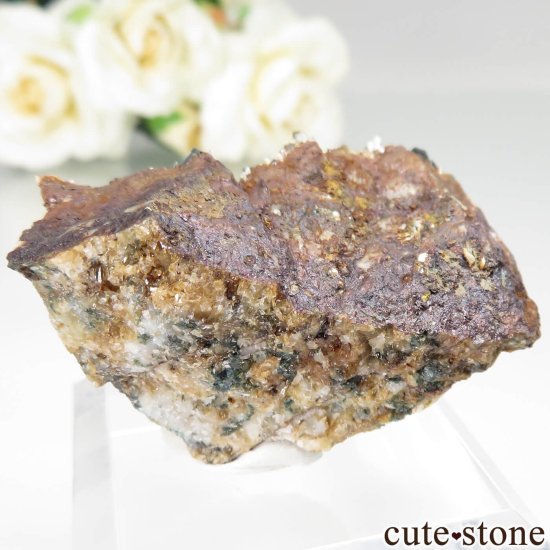 ʥ 桼 ԥåɥ꡼ 饺饤(ŷ)ǥ饤ȡĤθ No.46μ̿0 cute stone