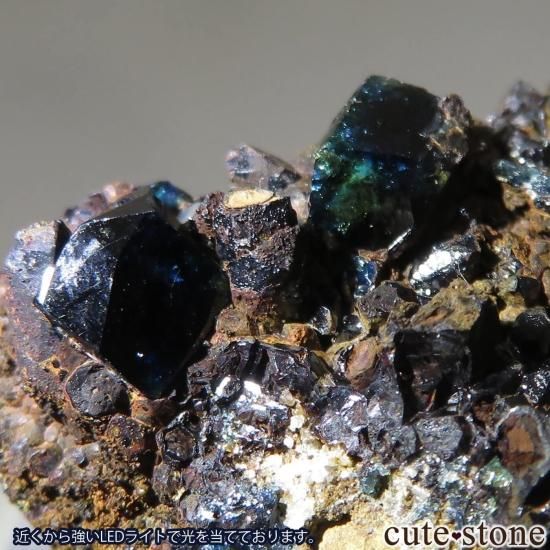 ʥ 桼 ԥåɥ꡼ 饺饤(ŷ)ǥ饤Ȥθ No.47μ̿1 cute stone