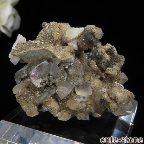  ͥ륹 ե饤ȡġ륵Ȥθ No.18μ̿1 cute stone