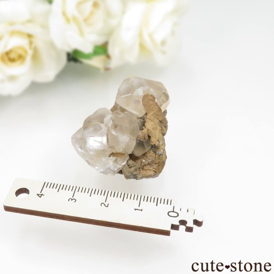  ͥ륹 ե饤Ȥθ No.20μ̿3 cute stone