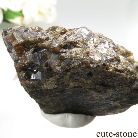 ꥫ ͥХ Winnemucca 쥤ܡͥåȤθ No.1μ̿3 cute stone