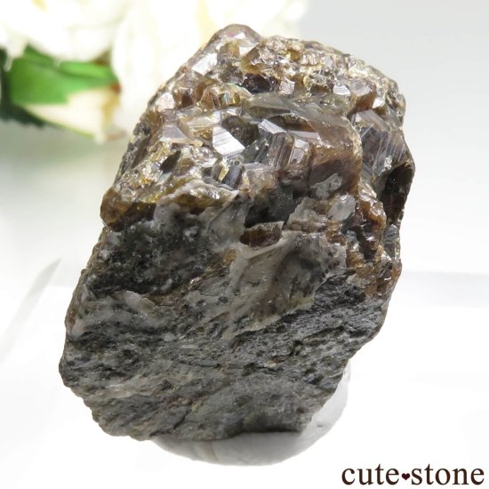 ꥫ ͥХ Winnemucca 쥤ܡͥåȤθ No.1μ̿4 cute stone