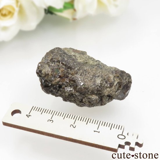ꥫ ͥХ Winnemucca 쥤ܡͥåȤθ No.1μ̿5 cute stone