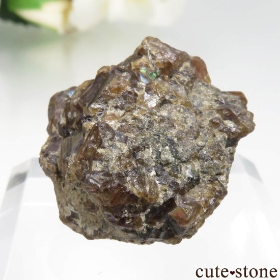 ꥫ ͥХ Winnemucca 쥤ܡͥåȤθ No.2μ̿2 cute stone