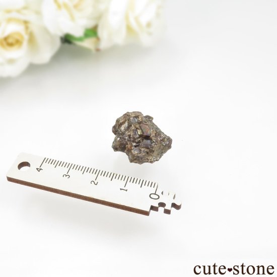 ꥫ ͥХ Winnemucca 쥤ܡͥåȤθ No.2μ̿3 cute stone