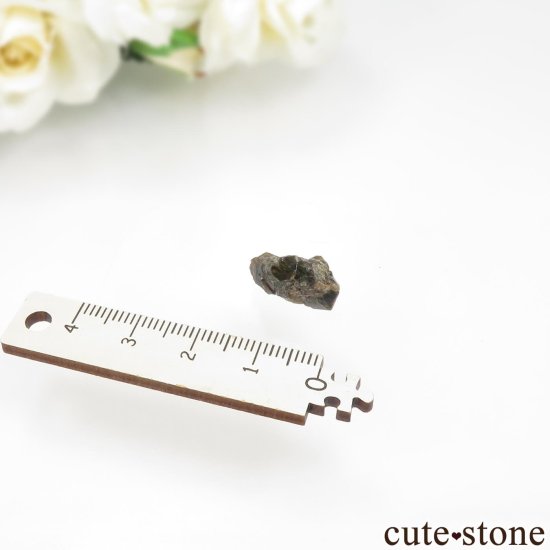 ꥫ ͥХ Winnemucca 쥤ܡͥåȤθ No.4μ̿3 cute stone