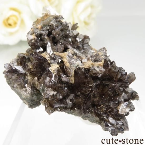  ͥ륹 ʥȡĤθ No.1μ̿0 cute stone