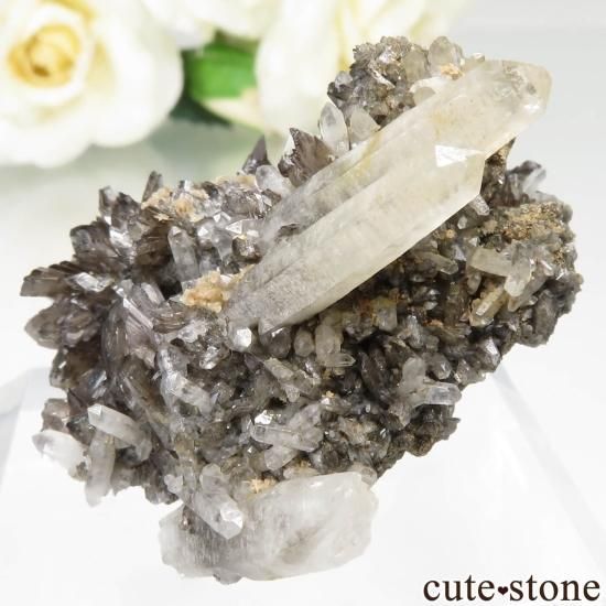  ͥ륹 ʥȡĤθ No.1μ̿1 cute stone