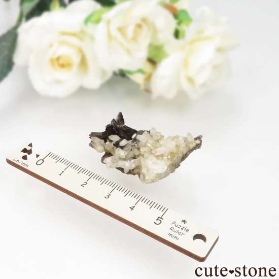  ͥ륹 ʥȡĤθ No.2μ̿2 cute stone