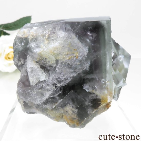 ʥꥢ Jos Plateau ֥롼ե饤ȡĤθ No.1μ̿0 cute stone