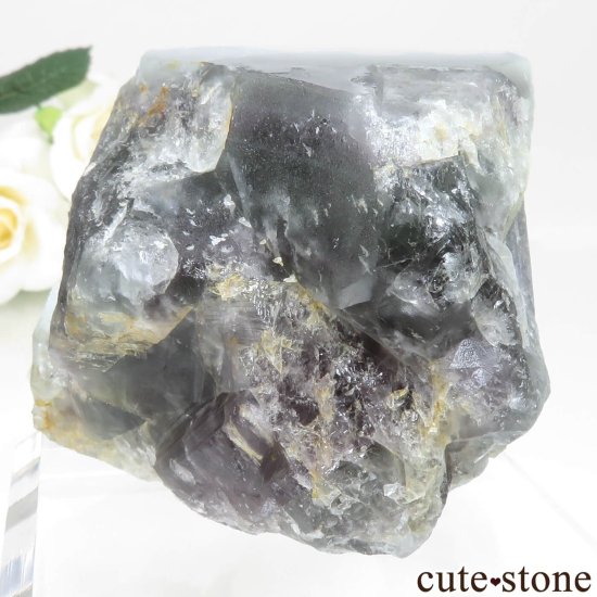 ʥꥢ Jos Plateau ֥롼ե饤ȡĤθ No.1μ̿1 cute stone