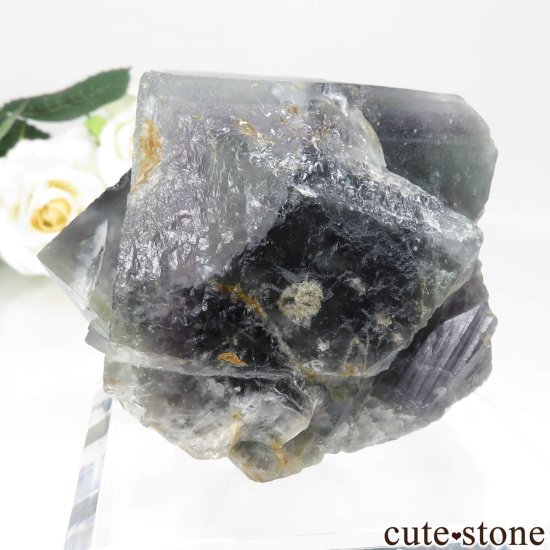 ʥꥢ Jos Plateau ֥롼ե饤ȡĤθ No.1μ̿2 cute stone