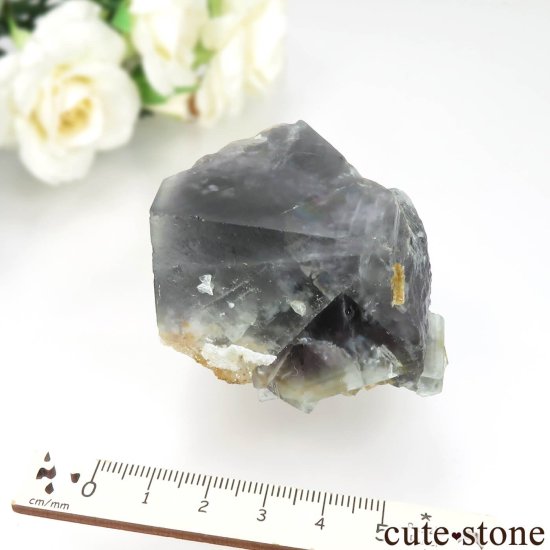 ʥꥢ Jos Plateau ֥롼ե饤ȡĤθ No.1μ̿4 cute stone