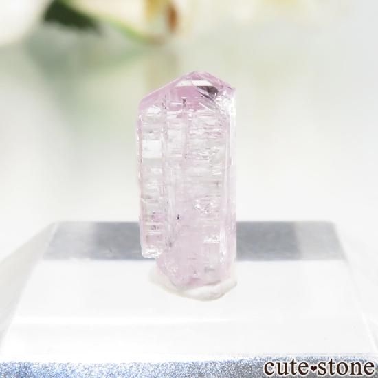 ˻ ԥ󥯥Ȥη뾽ʸСNo.110μ̿1 cute stone