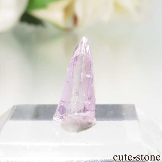 ˻ ԥ󥯥Ȥη뾽ʸСNo.110μ̿2 cute stone