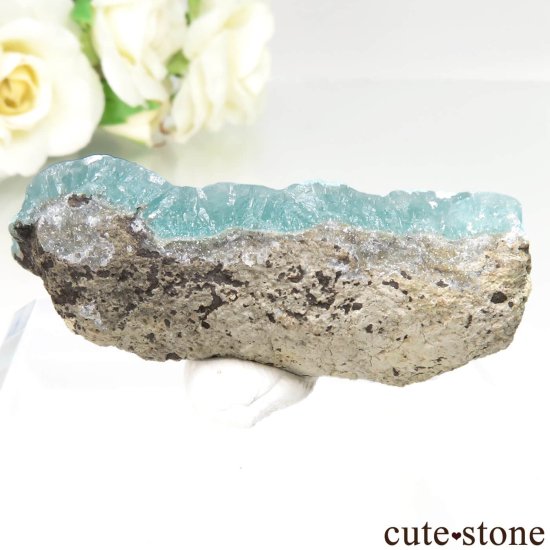  Fati Mine ߥʥ No.1μ̿1 cute stone