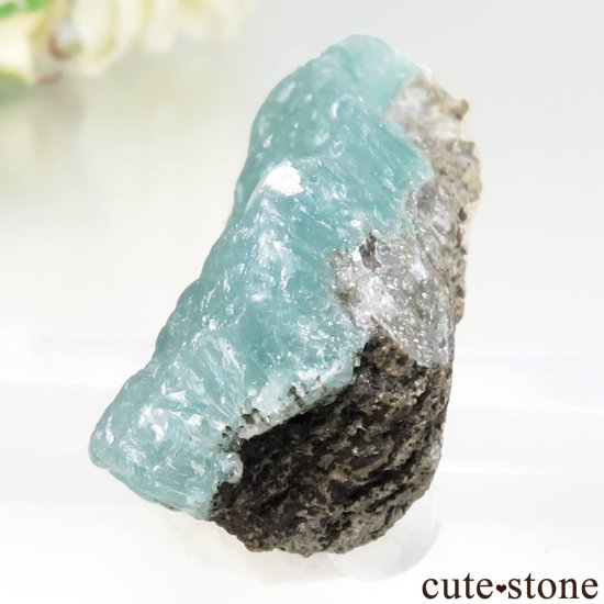  Fati Mine ߥʥ No.1μ̿2 cute stone