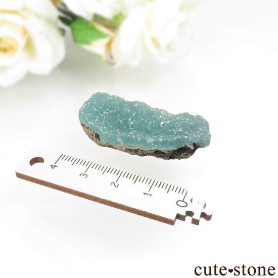  Fati Mine ߥʥ No.1μ̿3 cute stone