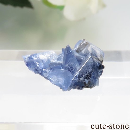 ե˥ California State Gem Mine ٥˥ȥȤθ No.145μ̿0 cute stone