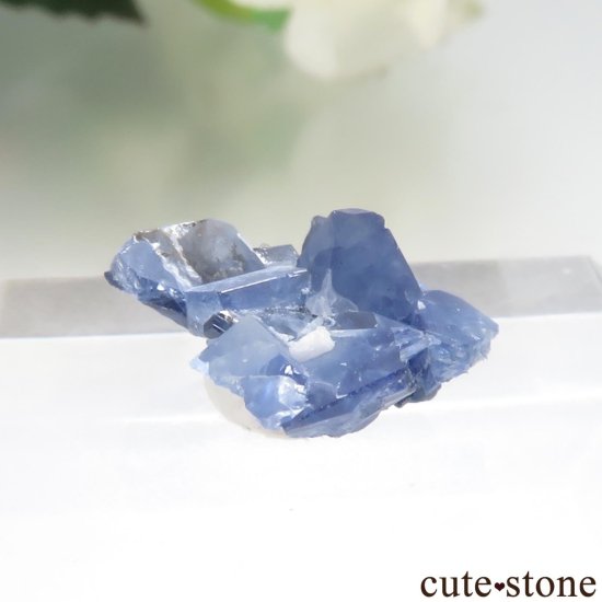 ե˥ California State Gem Mine ٥˥ȥȤθ No.145μ̿1 cute stone