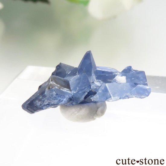 ե˥ California State Gem Mine ٥˥ȥȤθ No.145μ̿2 cute stone