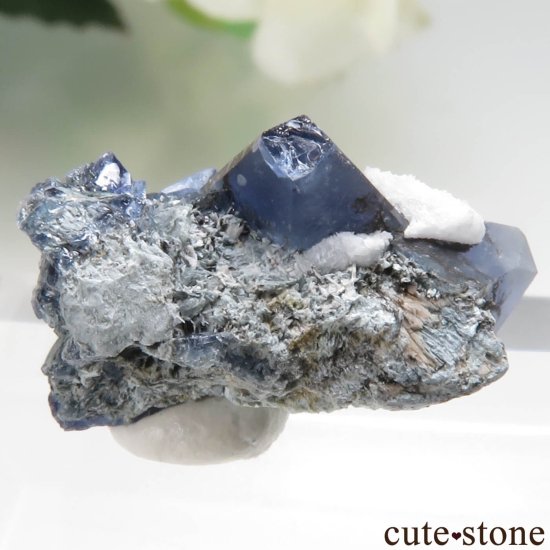 ե˥ California State Gem Mine ٥˥ȥȤθ No.146μ̿1 cute stone