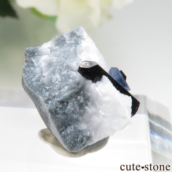 ե˥ California State Gem Mine ٥˥ȥȡͥץʥȤθ No.147μ̿0 cute stone