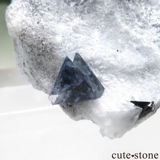 ե˥ California State Gem Mine ٥˥ȥȡͥץʥȤθ No.148μ̿0 cute stone