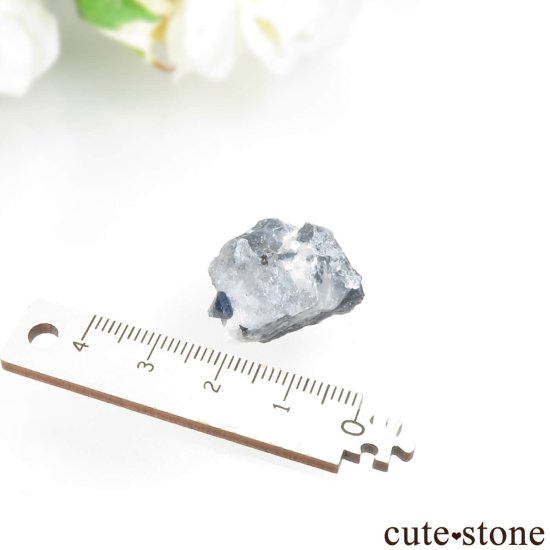 ե˥ California State Gem Mine ٥˥ȥȡͥץʥȤθ No.148μ̿3 cute stone