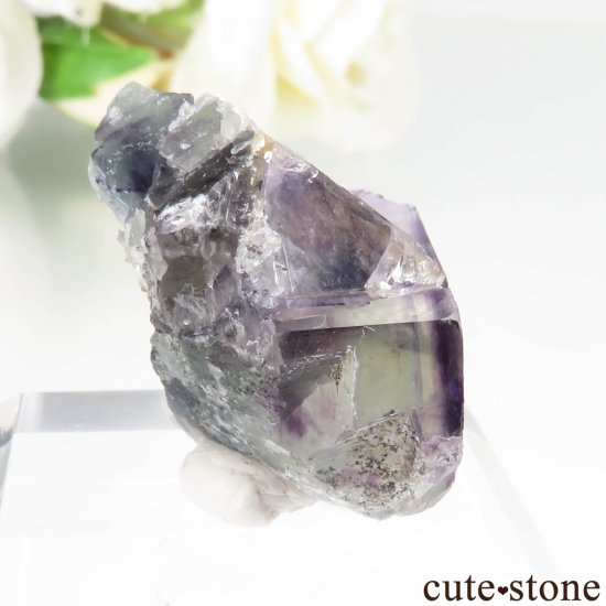 ʥߥӥ Okorusu Mine ե饤Ȥθ No.37μ̿0 cute stone