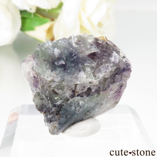 ʥߥӥ Okorusu Mine ե饤Ȥθ No.37μ̿1 cute stone
