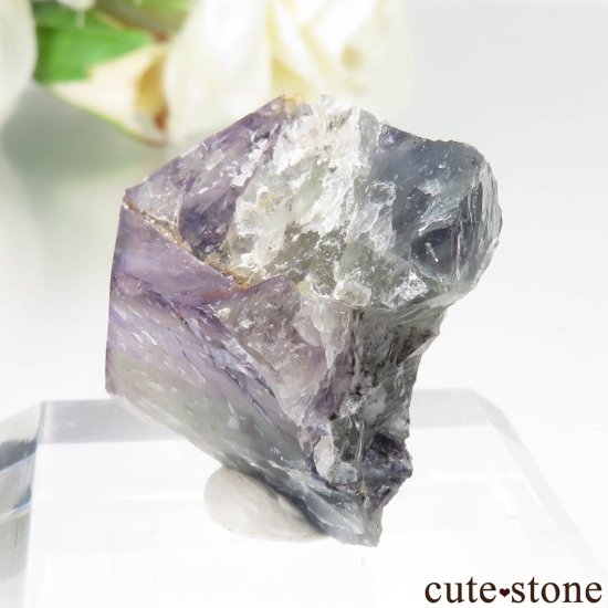 ʥߥӥ Okorusu Mine ե饤Ȥθ No.37μ̿2 cute stone