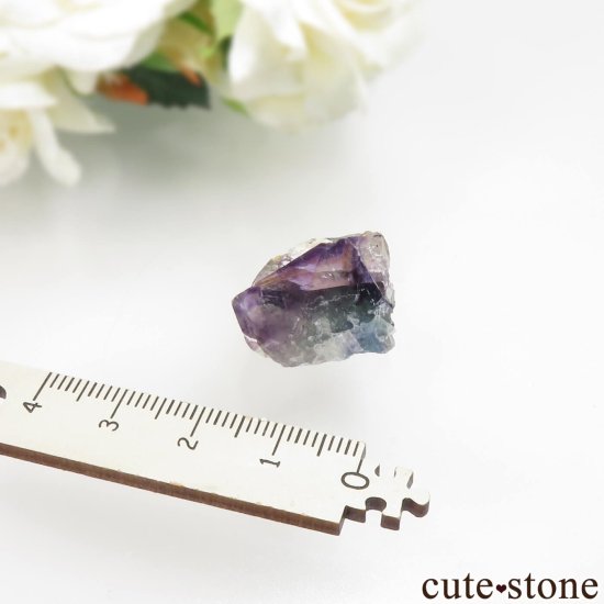 ʥߥӥ Okorusu Mine ե饤Ȥθ No.37μ̿3 cute stone