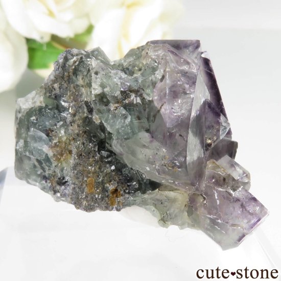 ʥߥӥ Okorusu Mine ե饤Ȥθ No.38μ̿0 cute stone