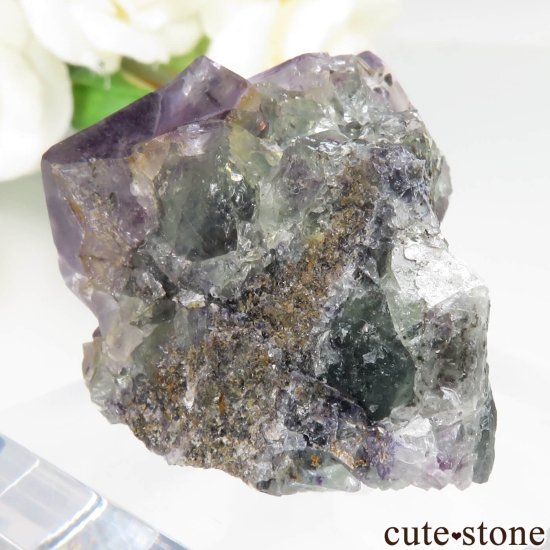 ʥߥӥ Okorusu Mine ե饤Ȥθ No.38μ̿1 cute stone