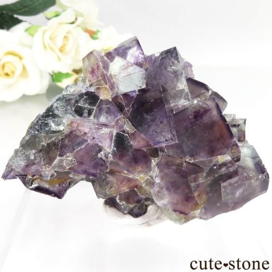 ナミビアOkorusu Mine 産のフローライト ナミビア Okorusu Mine産 フローライトの原石 No.65 - cute stone -