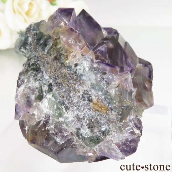 ʥߥӥ Okorusu Mine ե饤Ȥθ No.39μ̿0 cute stone
