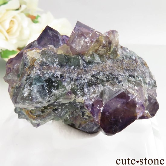 ʥߥӥ Okorusu Mine ե饤Ȥθ No.39μ̿1 cute stone
