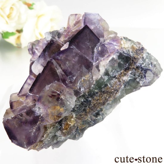 ʥߥӥ Okorusu Mine ե饤Ȥθ No.39μ̿2 cute stone