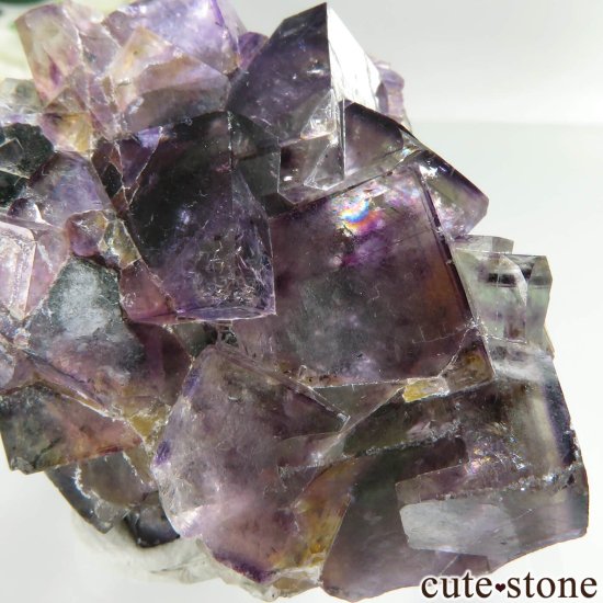 ʥߥӥ Okorusu Mine ե饤Ȥθ No.39μ̿3 cute stone