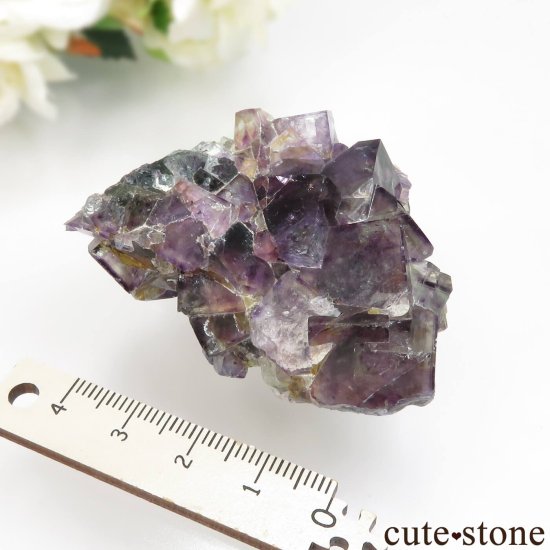 ʥߥӥ Okorusu Mine ե饤Ȥθ No.39μ̿4 cute stone