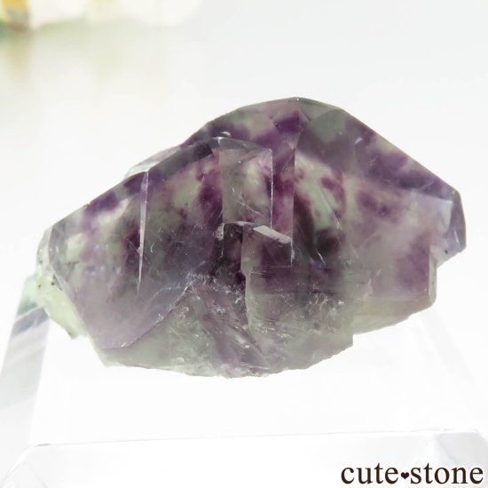 ʥߥӥ Okorusu Mine ե饤Ȥθ No.40μ̿1 cute stone