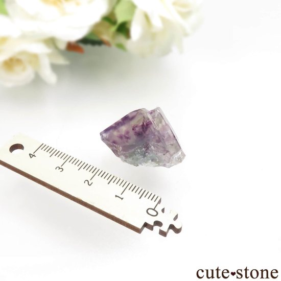 ʥߥӥ Okorusu Mine ե饤Ȥθ No.40μ̿3 cute stone